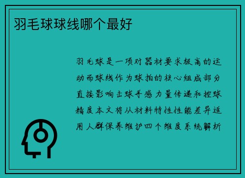羽毛球球线哪个最好