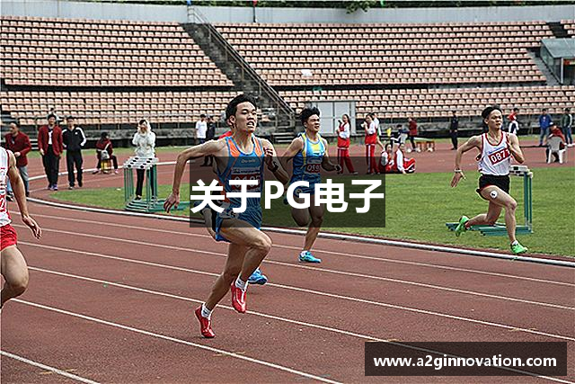 关于PG电子